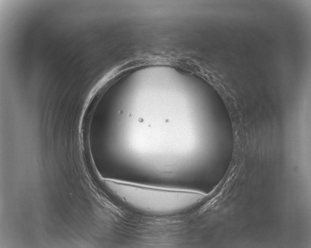 X0000058770246200509300847