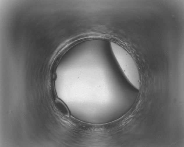 X0000058770247200509300847