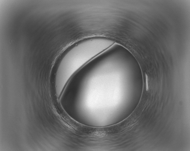 X0000058770252200509300847
