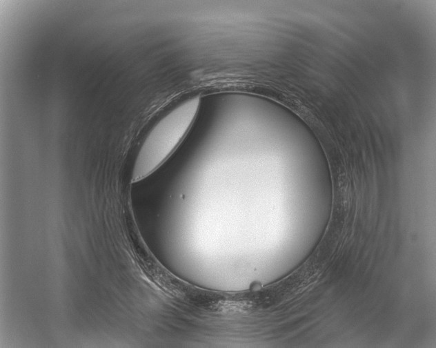 X0000058770255200509300847