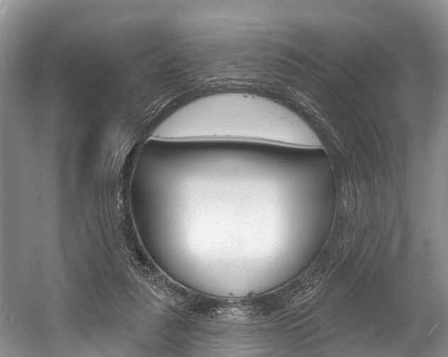 X0000058770259200509300847