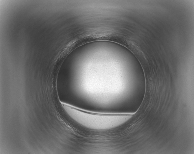 X0000058770260200509300847