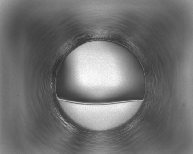 X0000058770261200509300847