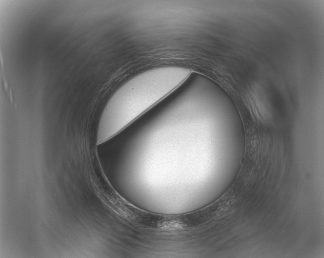 X0000058770262200509300847