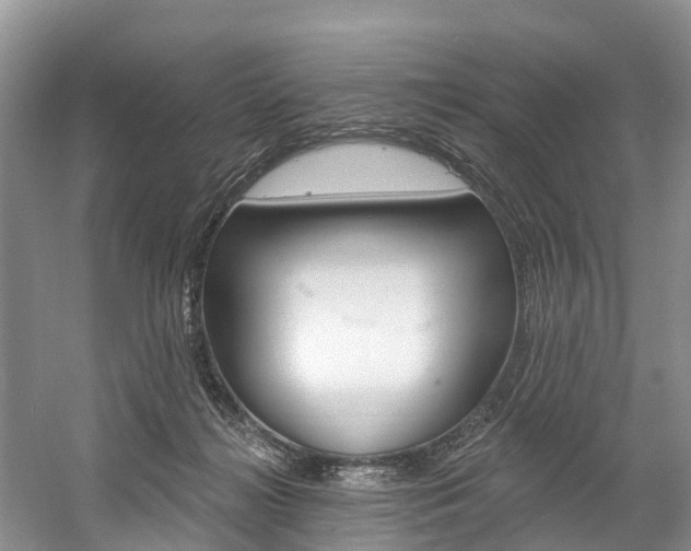X0000058770268200509300847