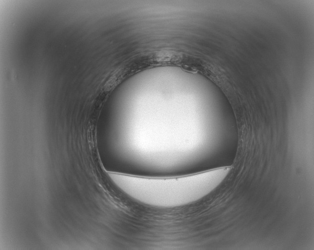 X0000058770272200509300847