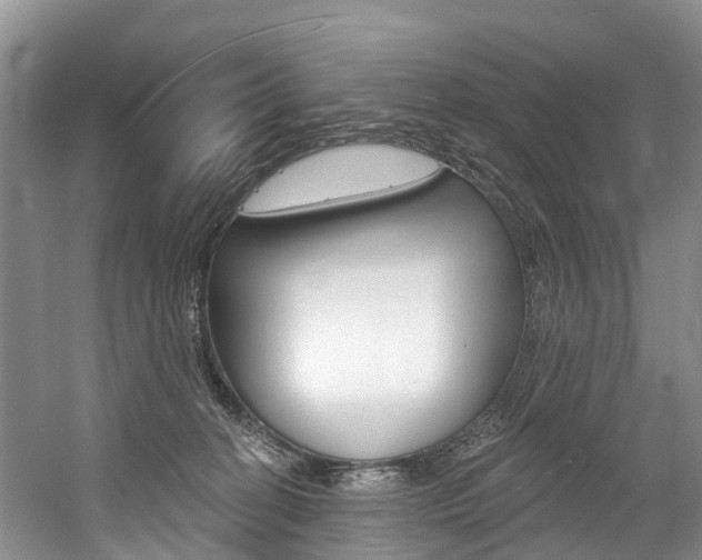 X0000058770274200509300847