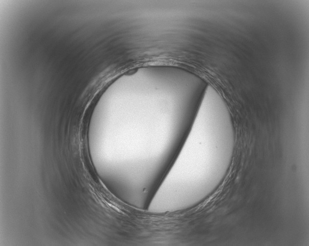 X0000058770290200509300847