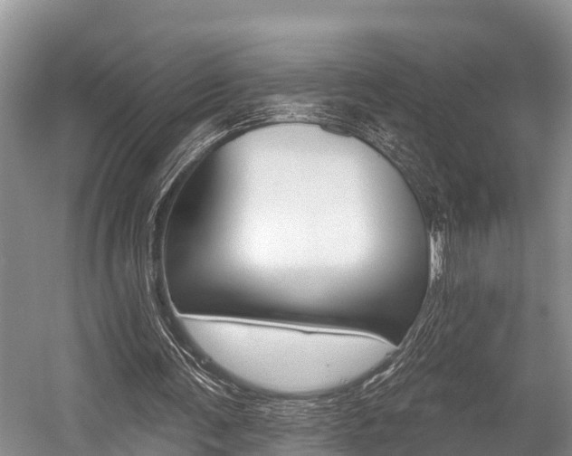 X0000058770291200509300847