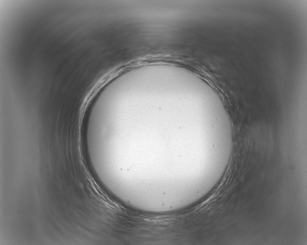 X0000058770293200509300847