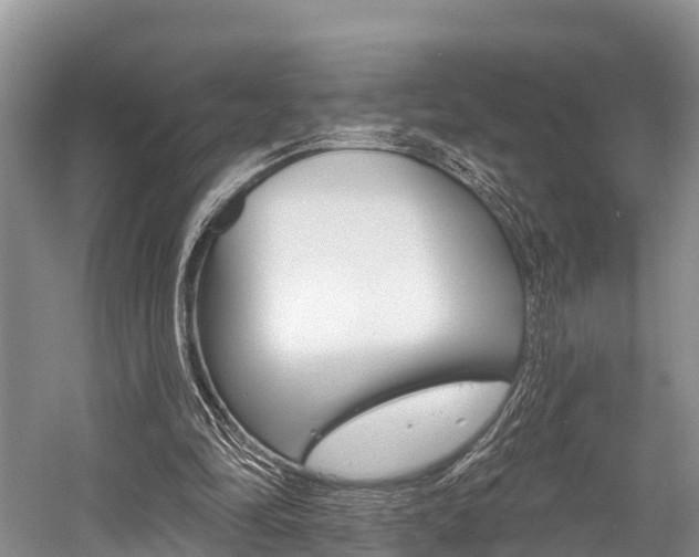 X0000058770294200509300847