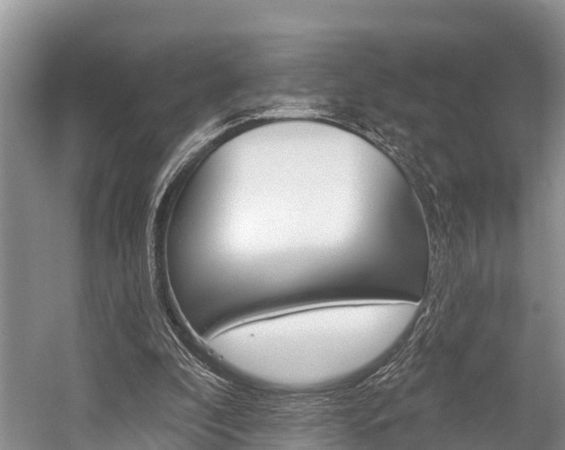 X0000058770296200509300847
