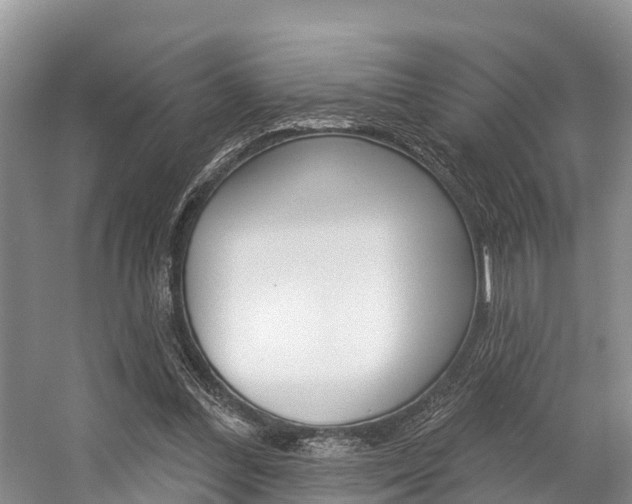X0000058770300200509300847