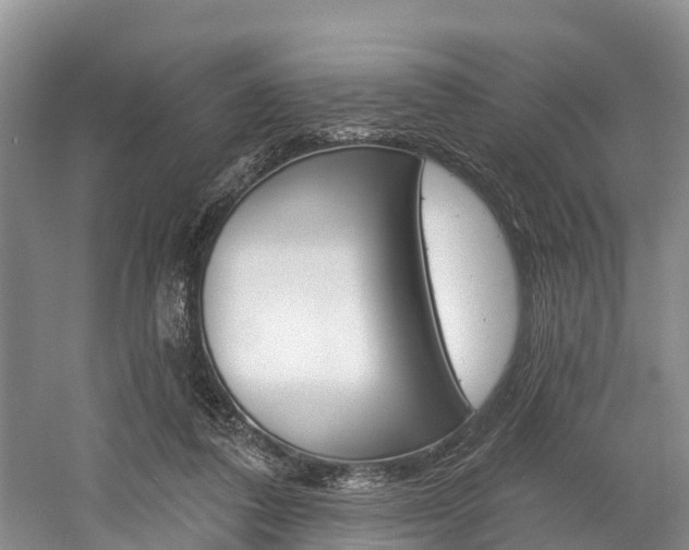 X0000058770308200509300847