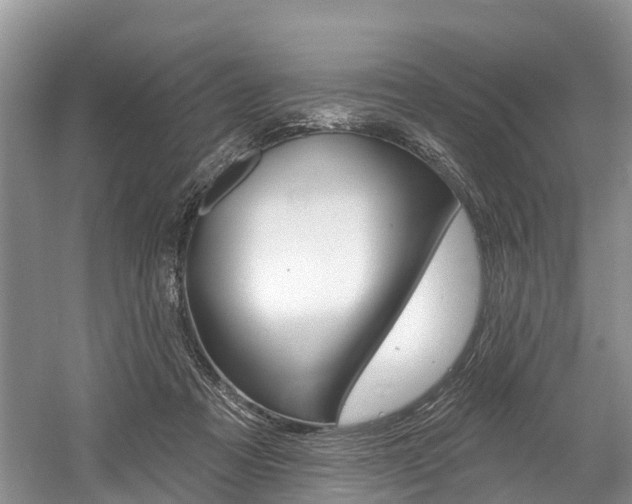 X0000058770313200509300846
