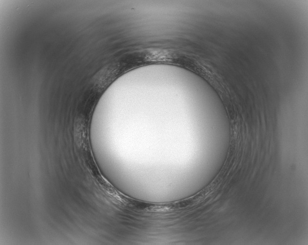 X0000058770322200509300846