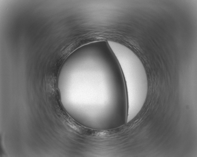 X0000058770325200509300846