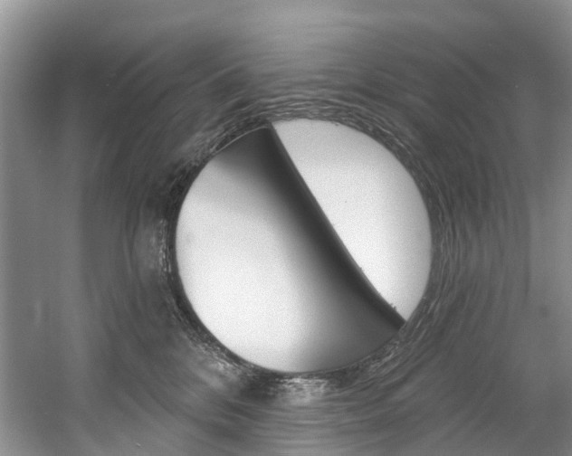 X0000058770328200509300846