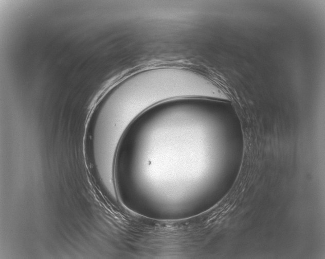 X0000058770340200509300845
