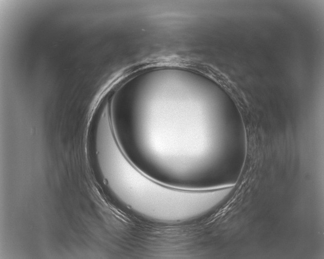 X0000058770344200509300845