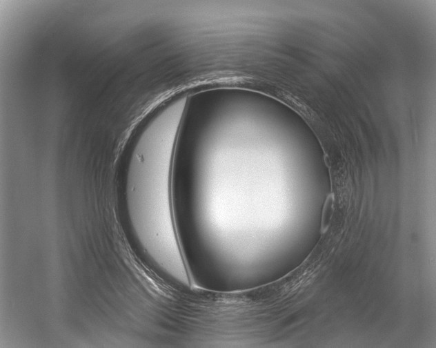 X0000058770350200509300845