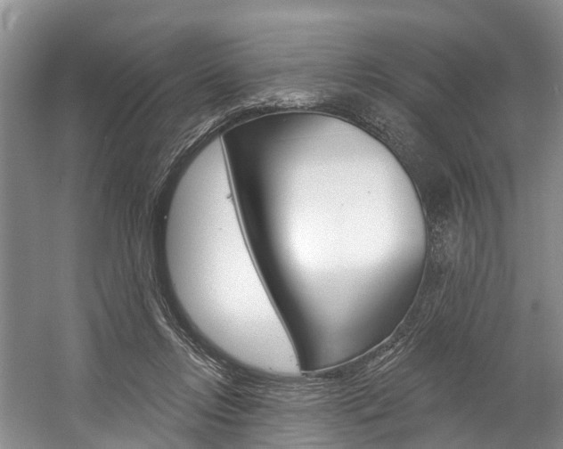 X0000058770358200509300846