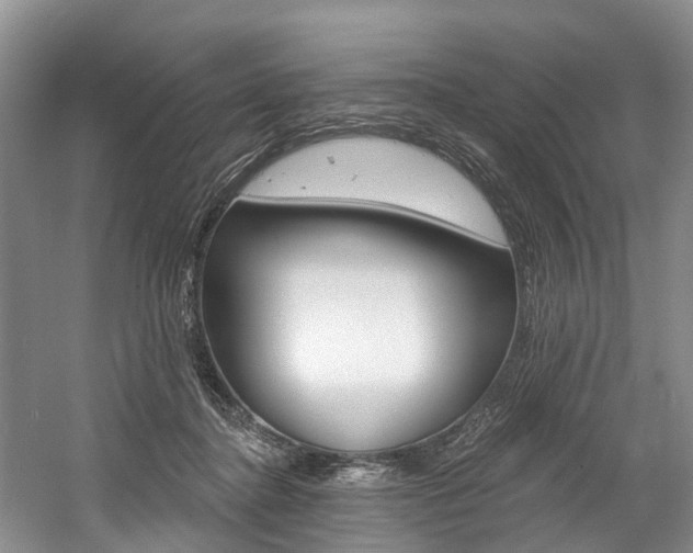 X0000058770364200509300846