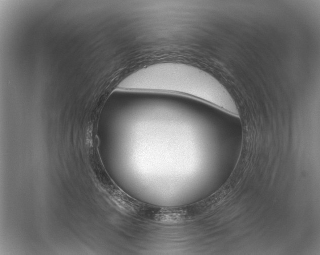 X0000058770368200509300846