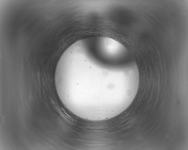 X0000058770380200509300846