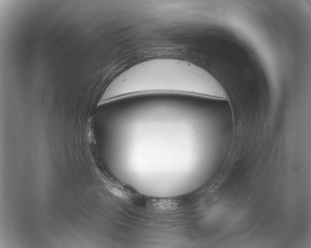 X0000058770383200509300846