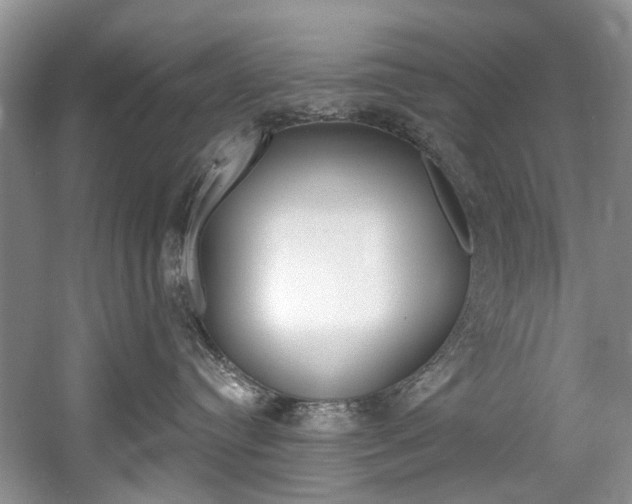 X0000058770384200509300846