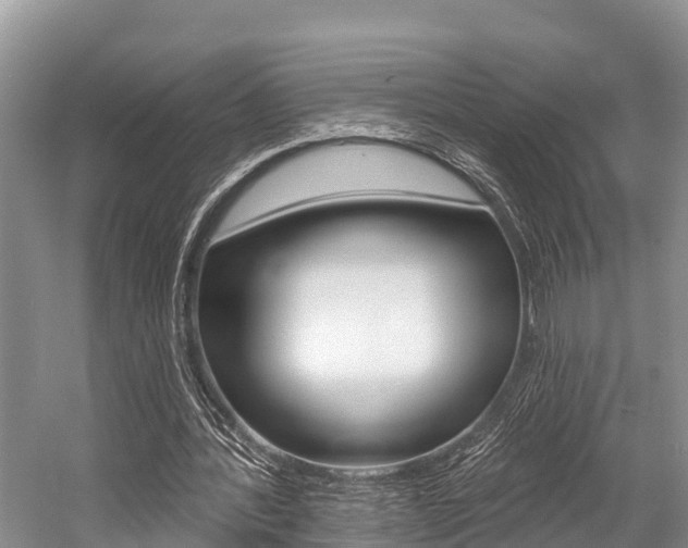 X0000058770388200509300845