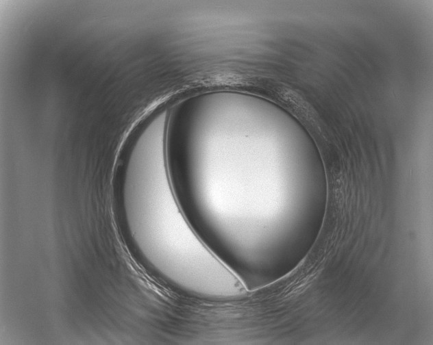 X0000058770395200509300845