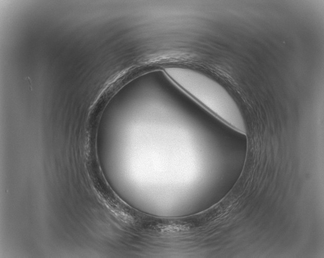 X0000058770400200509300845