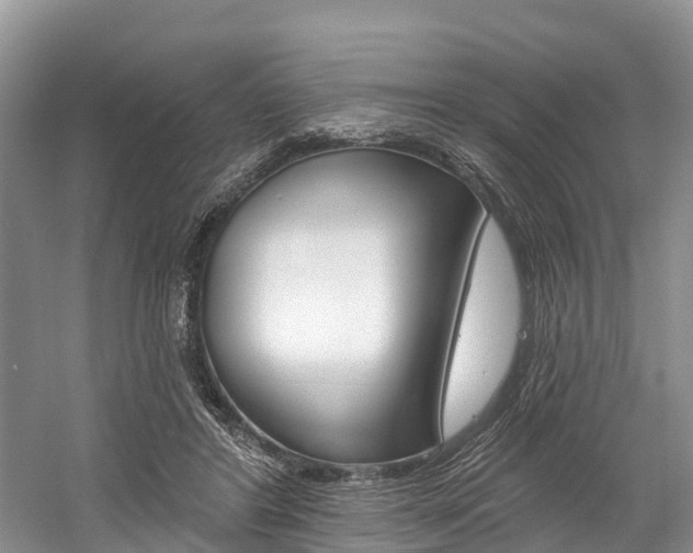 X0000058770404200509300845