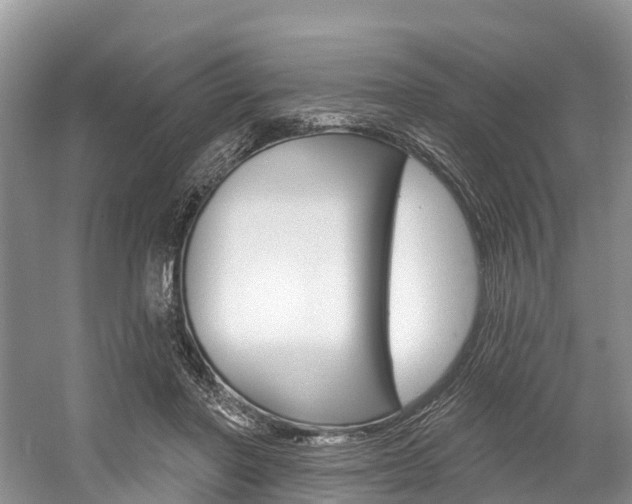 X0000058770406200509300845