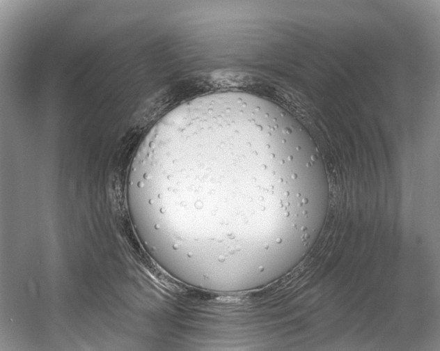 X0000058770418200509300845