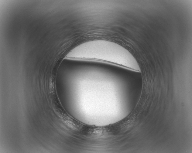 X0000058770420200509300845