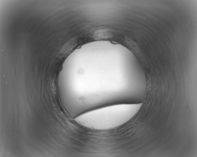 X0000058770426200509300845
