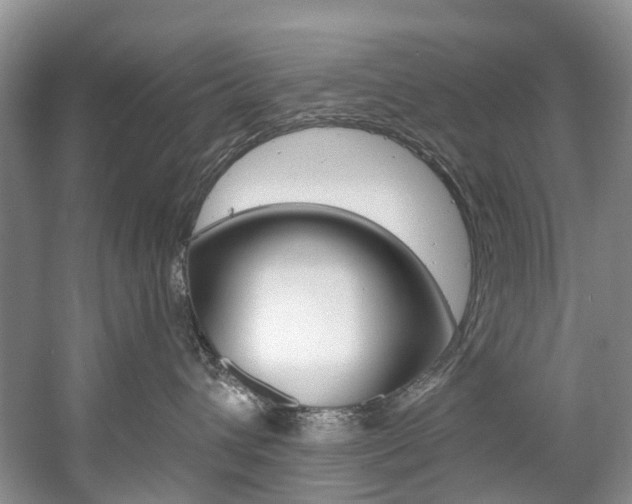 X0000058770432200509300844