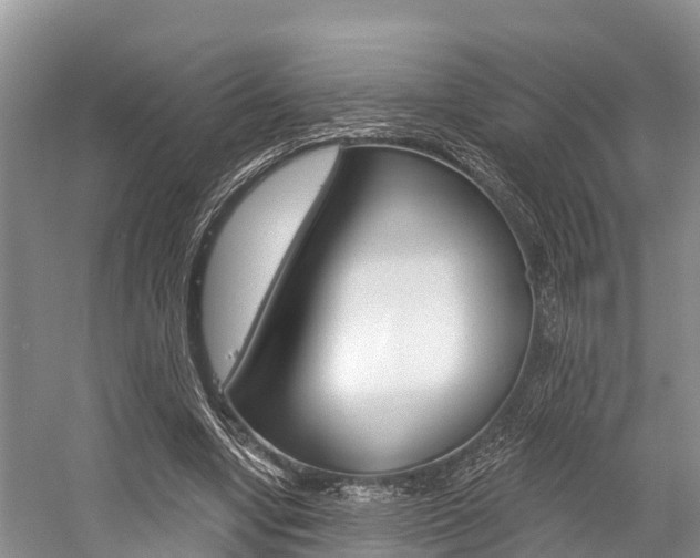 X0000058770442200509300844