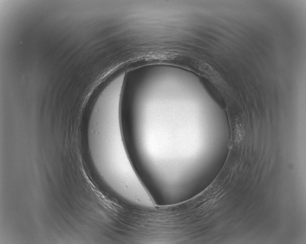 X0000058770444200509300844