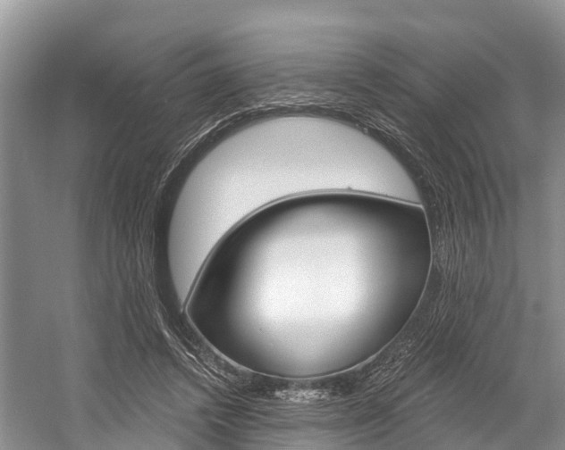 X0000058770448200509300844