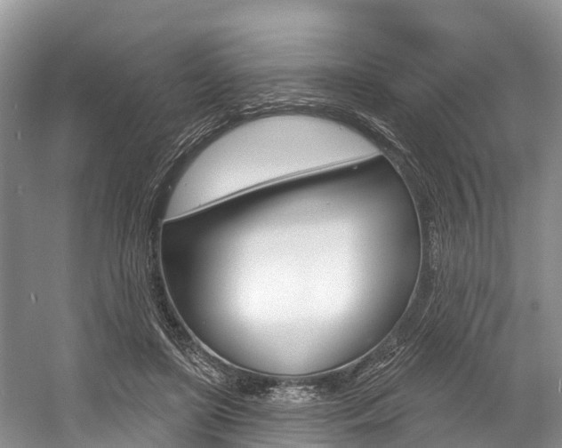 X0000058770451200509300844