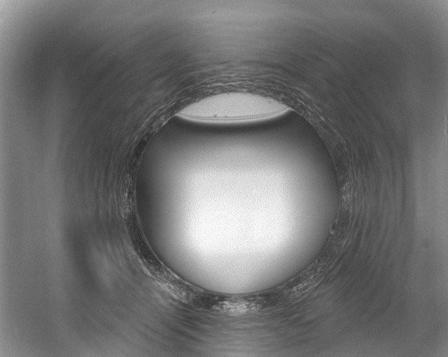 X0000058770464200509300844