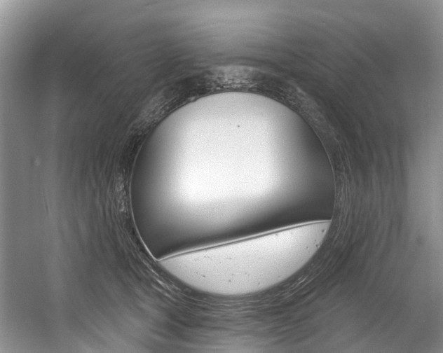 X0000058770465200509300844