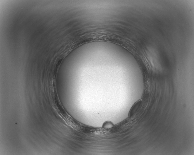 X0000058770468200509300844