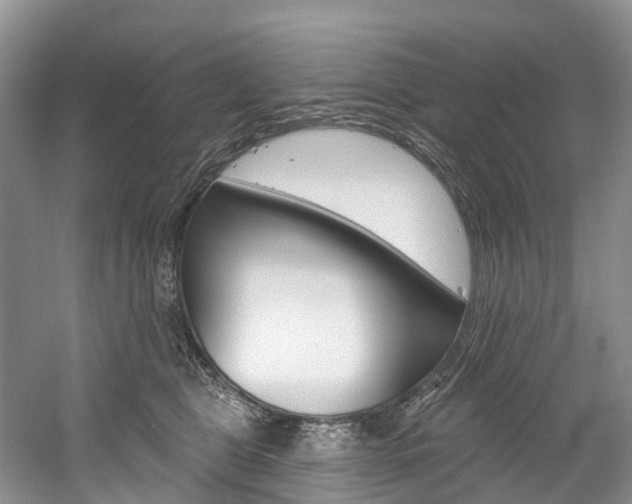 X0000058770469200509300844