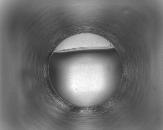 X0000058770470200509300844