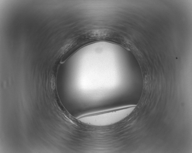 X0000058770474200509300844